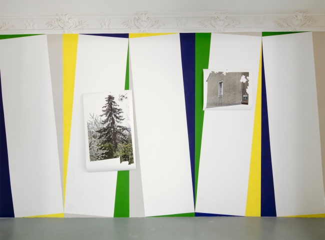 Birgit Schlieps