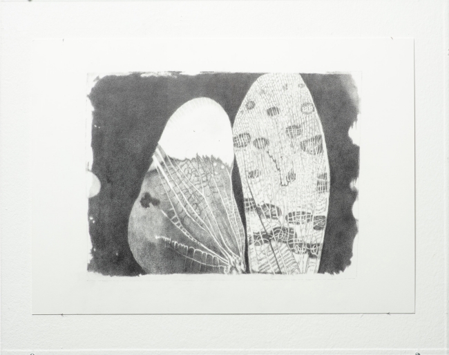 Gerhard Faulhaber